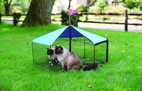 Carousel Outdoor Cat Enclosure Kittywalk 