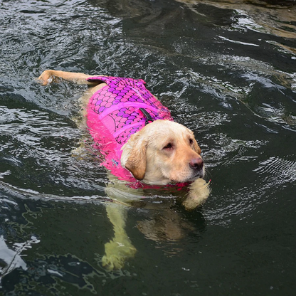 Dog Mermaid Life Jacket InfiniteWags 