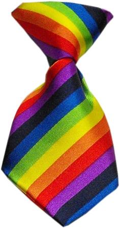 Dog Neck Tie Rainbow InfiniteWags 
