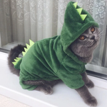 Cat Dinosaur Costume InfiniteWags 