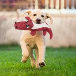 Crocodile Dog Toy - Durable Denim - Bite Resistant InfiniteWags 