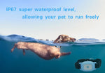 Waterproof Pet GPS Tracking Collar - IP67 Waterproof - Realtime Tracking InfiniteWags 