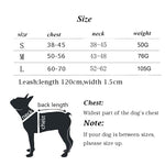 Reflective Dog Harness - Step In Harness - Night Time Visibility InfiniteWags 
