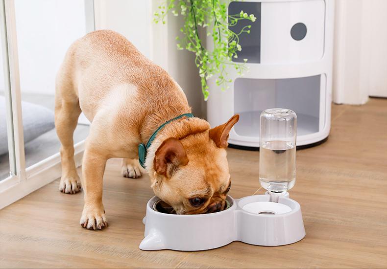 Pet Food Bowl with Self-filling Water Dispenser InfiniteWags 