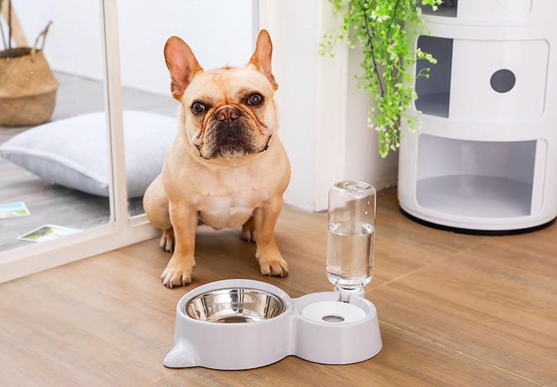 Pet Food Bowl with Self-filling Water Dispenser InfiniteWags 