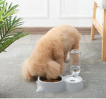 Pet Food Bowl with Self-filling Water Dispenser InfiniteWags 