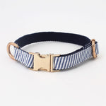 Classy Jack Collar and Leash Set InfiniteWags 