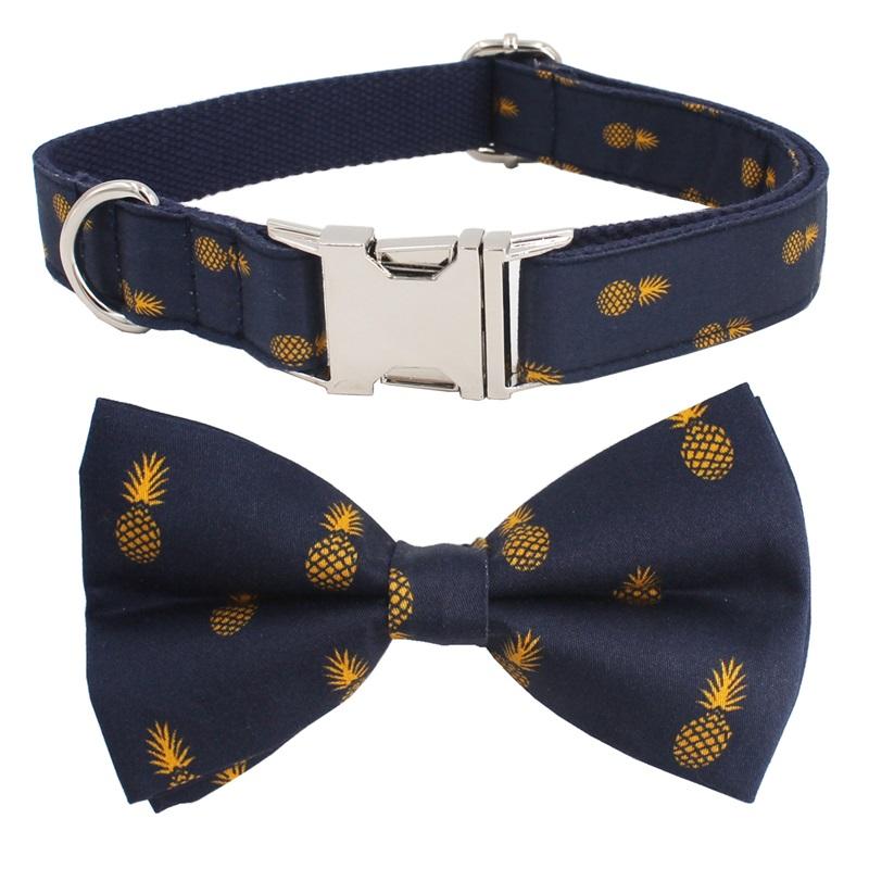 Pineapple Delight Collar InfiniteWags 
