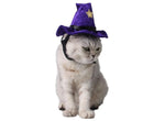 Wizard Cat Hat - Cat Halloween Costumes InfiniteWags 