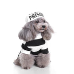 Prisoner Dog Costume Cosplay - Halloween Dog Costumes InfiniteWags 