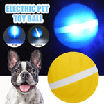 Dog Magic Roller Ball Toy - Automatic Rolling Teaser Ball InfiniteWags 