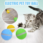Dog Magic Roller Ball Toy - Automatic Rolling Teaser Ball InfiniteWags 