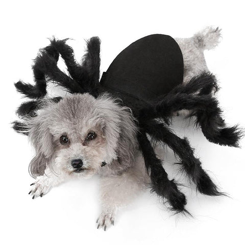 Dog Spider Costume - 8 Spider Legs - Adjustable InfiniteWags 