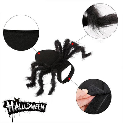 Dog Spider Costume - 8 Spider Legs - Adjustable InfiniteWags 