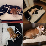 Plush Dog Sofa - Soft Pet Bed - Anti Anxiety InfiniteWags 