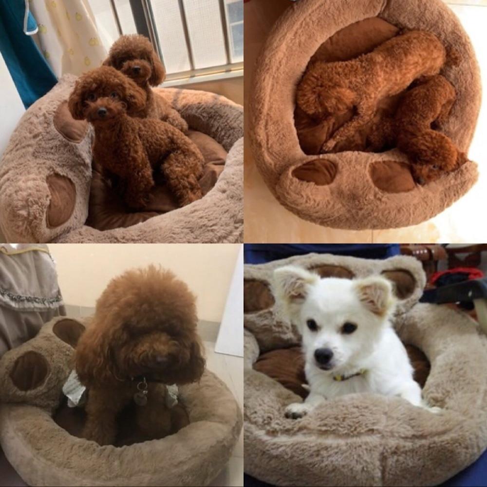 Paw Shape Pet Bed - Soft Fleece - Plush Lounger InfiniteWags 