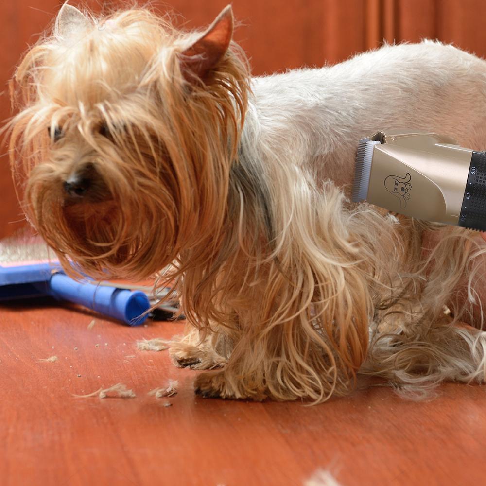 Pet Hair Trimmer Kit - Ultra Low Noise - Cordless - Rechargeable Dog Hair Trimmer InfiniteWags 