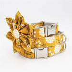 Gold Mixer Collar and Leash Set InfiniteWags 