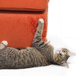 Cat Scratch Tape - Transparent Sticky Tape - Furniture Protection - Anti-Scratch InfiniteWags 