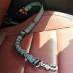 Dog Car Seat Belt Safety Leash - Dog Safety InfiniteWags 