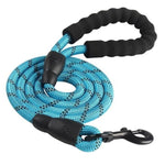 Heavy Duty Nylon Dog Leash - Padded Handle - 5ft InfiniteWags Blue 