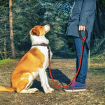 Heavy Duty Nylon Dog Leash - Padded Handle - 5ft InfiniteWags 