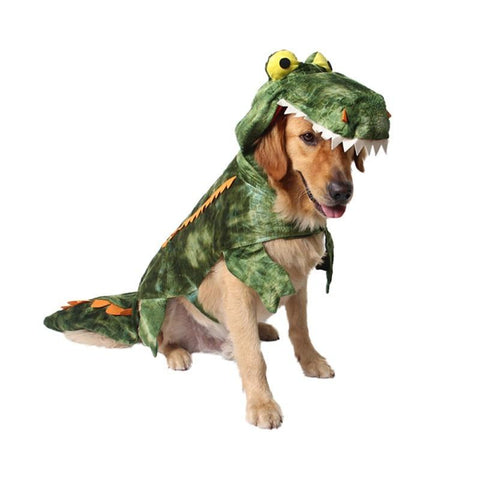 Dragon Dog Costume InfiniteWags 