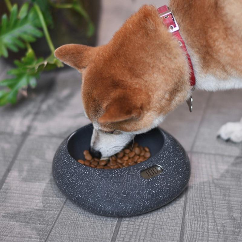 Smart Dog Food Bowl - Built in Food Scale - Pet Safe InfiniteWags 