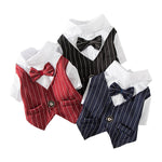 Dog Tuxedo - 3 Color Options - Formal Pet Clothing InfiniteWags 