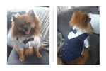 Dog Tuxedo - 3 Color Options - Formal Pet Clothing InfiniteWags 