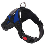 Reflective Dog Harness InfiniteWags Blue S 