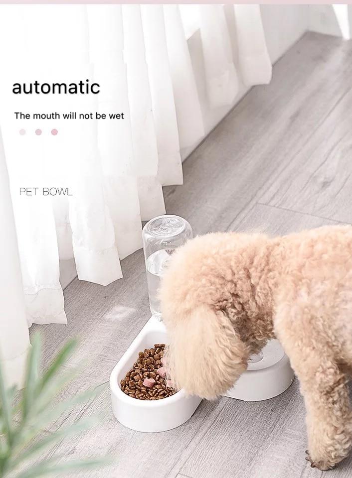 Corner Pet Food Bowl with Self filling water bowl InfiniteWags 