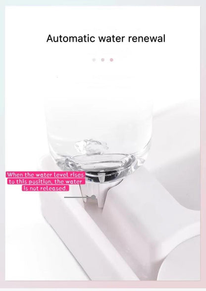 Corner Pet Food Bowl with Self filling water bowl InfiniteWags 