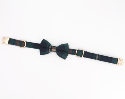 Gentlemen's Gold Collar InfiniteWags 