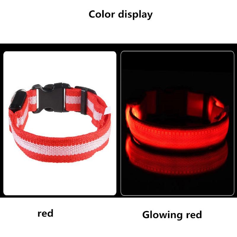 LED Light Up Dog Collar - USB Rechargeable InfiniteWags 