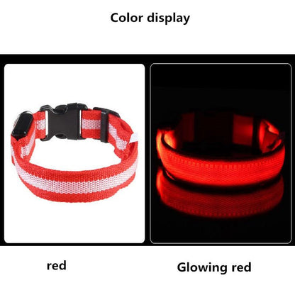 LED Light Up Dog Collar - USB Rechargeable InfiniteWags 
