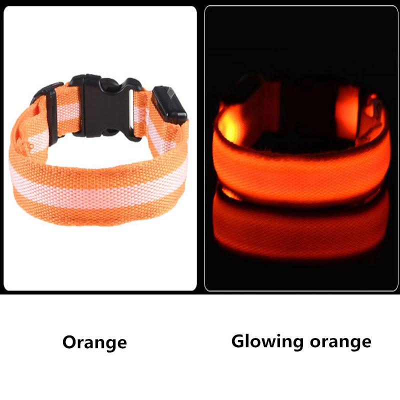 LED Light Up Dog Collar - USB Rechargeable InfiniteWags 