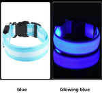 LED Light Up Dog Collar - USB Rechargeable InfiniteWags 