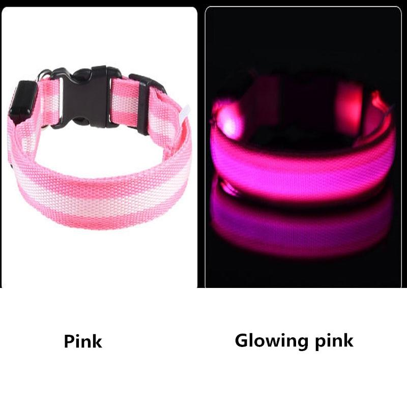 LED Light Up Dog Collar - USB Rechargeable InfiniteWags 