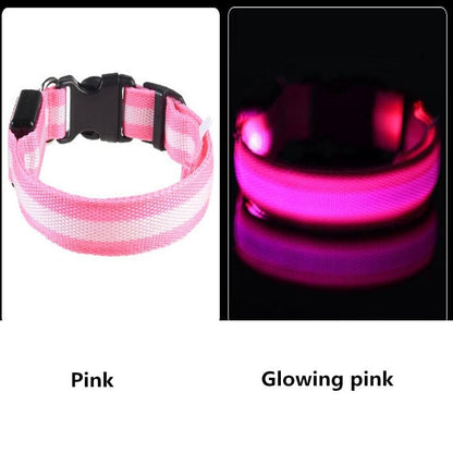 LED Light Up Dog Collar - USB Rechargeable InfiniteWags 