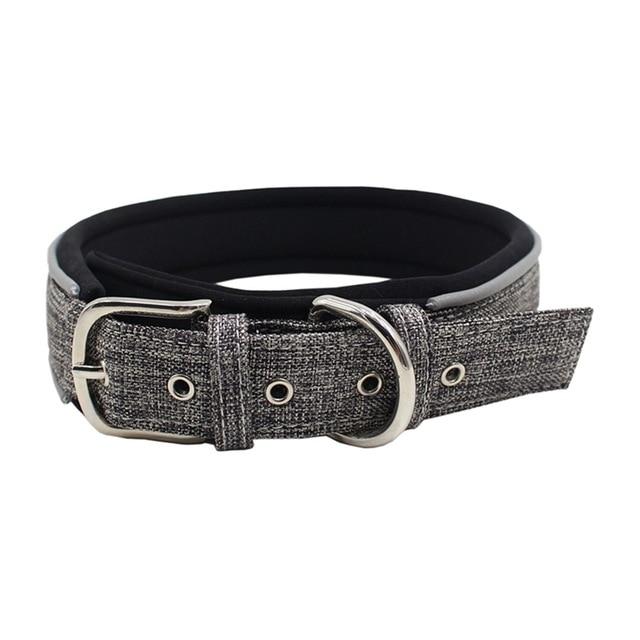 Reflective Dog Collar InfiniteWags Grey XL 