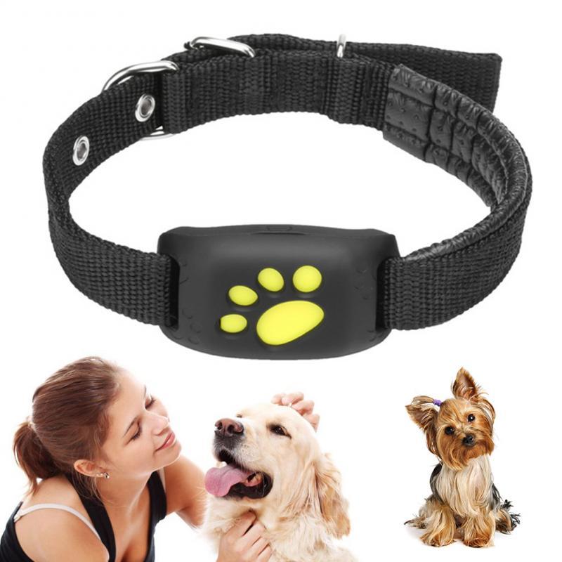 Water-Resistant GPS Tracker Dog Collar InfiniteWags 