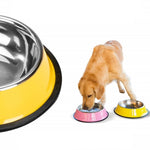 Colorful Stainless Steel Dog Bowls - Anti-slip InfiniteWags 
