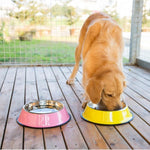 Colorful Stainless Steel Dog Bowls - Anti-slip InfiniteWags 