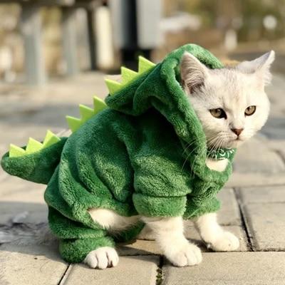 Cat Dinosaur Costume