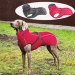 Waterproof Outdoor Dog Jacket - Windbreaker InfiniteWags 
