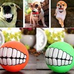 Grinning Dog Ball - Funny Smile Dog Toy - Squeaky InfiniteWags 