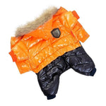 Winter Jacket for Dogs InfiniteWags Orange XXL 