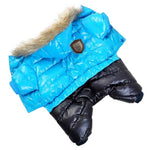Winter Jacket for Dogs InfiniteWags Blue XS 