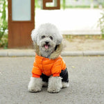 Winter Jacket for Dogs InfiniteWags 